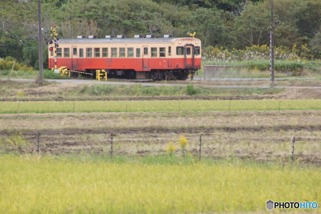 小湊鉄道のキハ200！