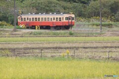 小湊鉄道のキハ200！