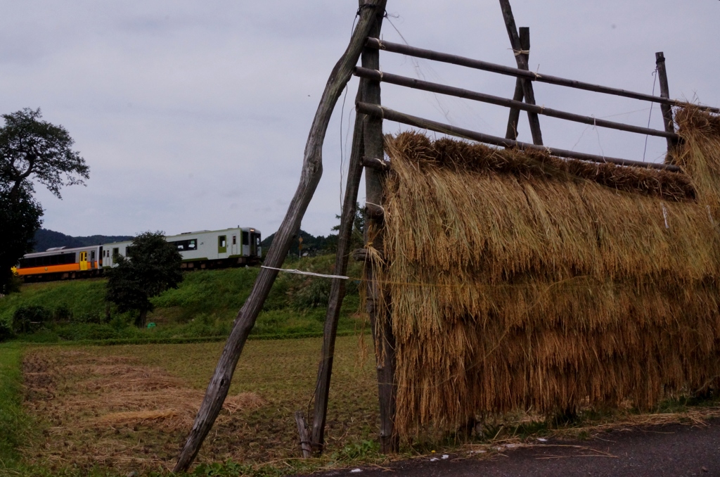 この時季にこの風景！②