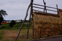 この時季にこの風景！②