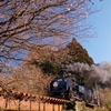 早春パートⅡ　SL「大樹」５号！