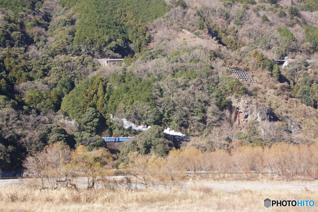 大井川鉄道　始めて見る12系客車！partⅡ
