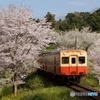 2023　小湊鉄道　春の飯給駅！②