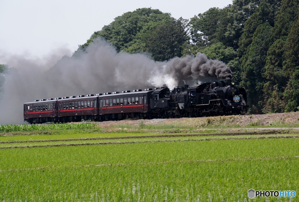 真岡鉄道の特殊運転　①～⑫の中の⑤！