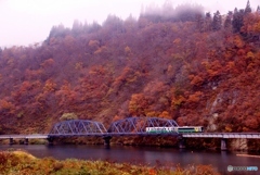 只見線　第８橋梁紅葉！