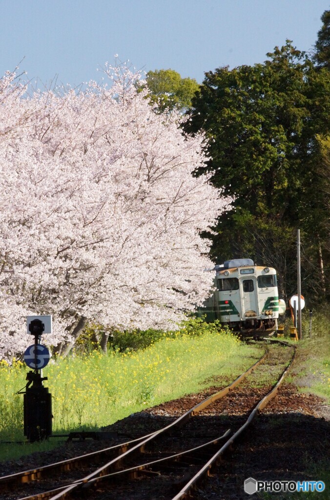 列車出発後の後ろ姿！