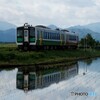 早苗の田んぼの水鏡！