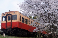 小湊鉄道　春の旅情！④（完）