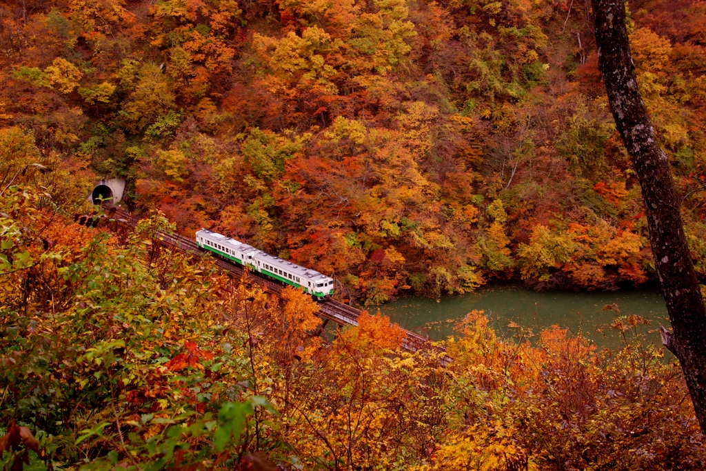 只見線の紅葉！