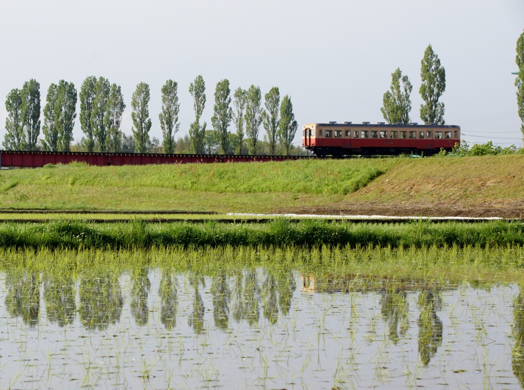 小湊鉄道沿線風景！①