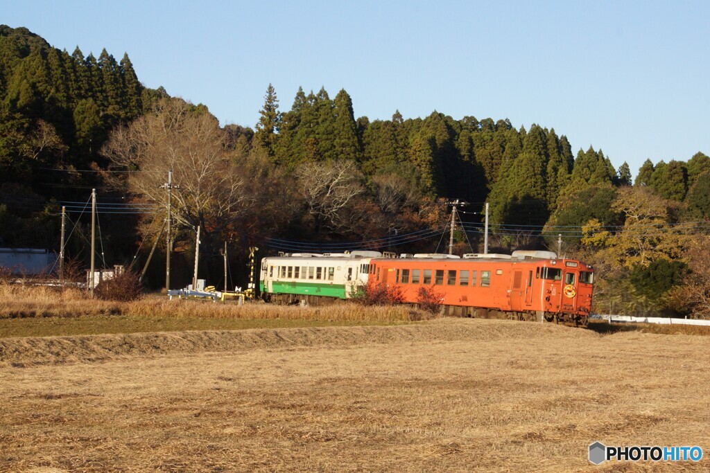 小湊鉄道　キハ40コンビ！