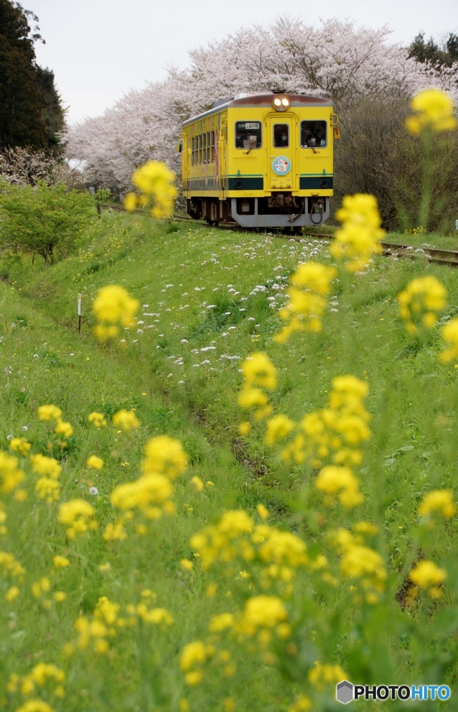 いすみ鉄道　新田野！②（完）