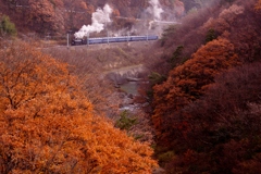 諏訪峡の晩秋！