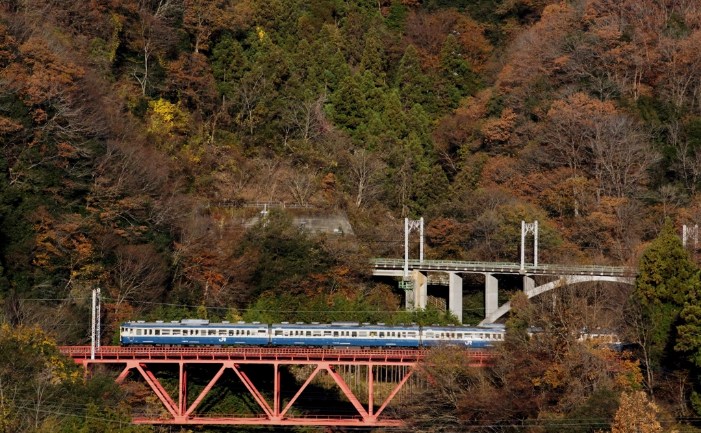 山スカ紅葉の中を②