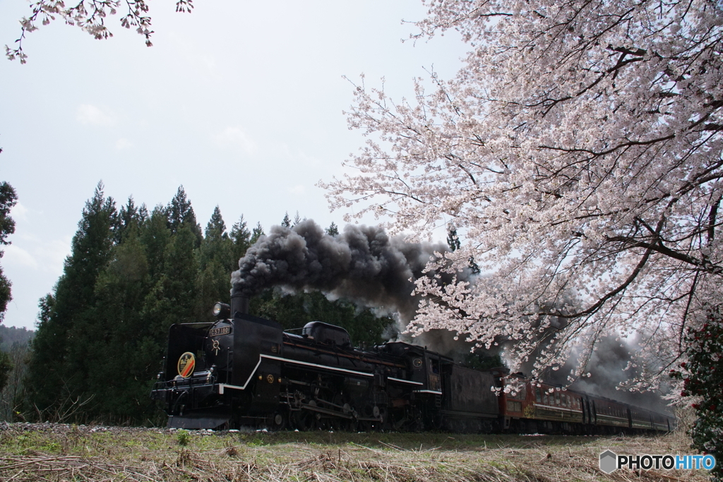 ばんえつ物語号鹿瀬を往く！