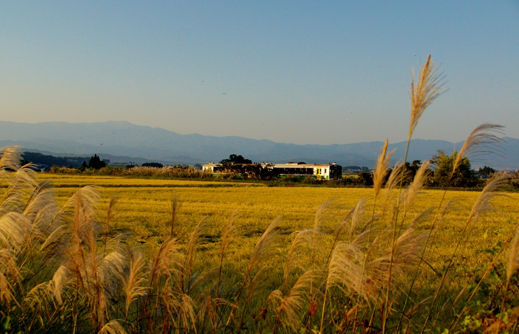 会津に秋漂う！