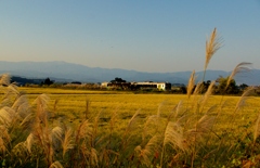 会津に秋漂う！