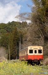 小湊鉄道　上総中野！