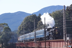 大井川鉄道　SL急行！