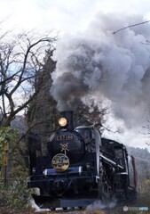 クリスマストレインの歴史2025！