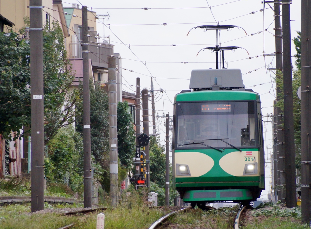 玉電カラー？復活！