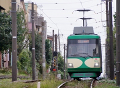 玉電カラー？復活！