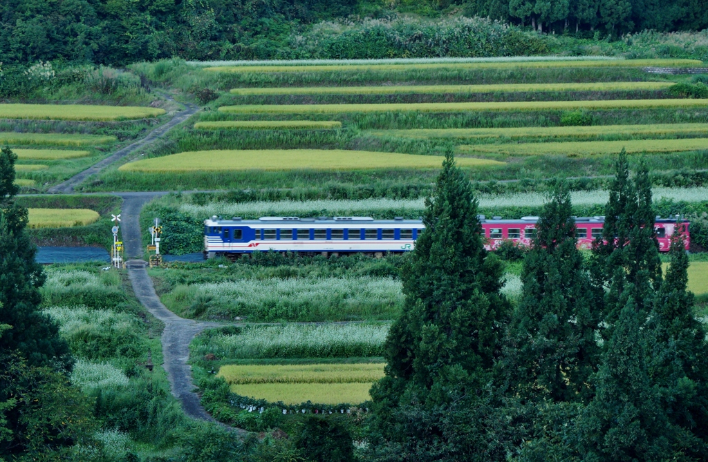 只見線　奥の田舎道