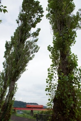 小湊鉄道　単行キハ！