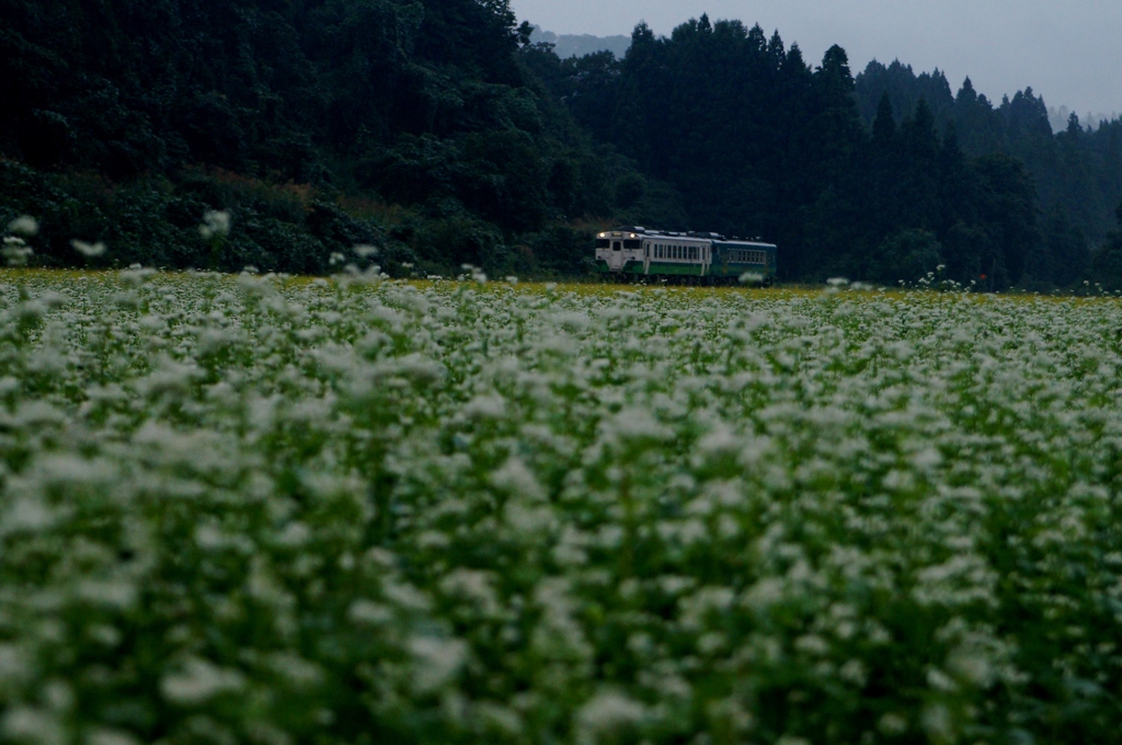 会津の風景にキハ40！