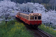 小湊鉄道の春（飯給駅）！⑦