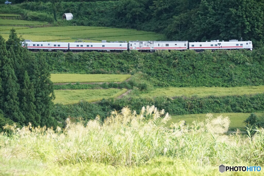 只見線に白い検測車！