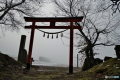 濃霧の中、鳥居の中から現る只見線！