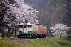 小湊鉄道の春！⑧