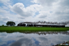 真岡鉄道　特殊運転①～⑫の中の⑦！