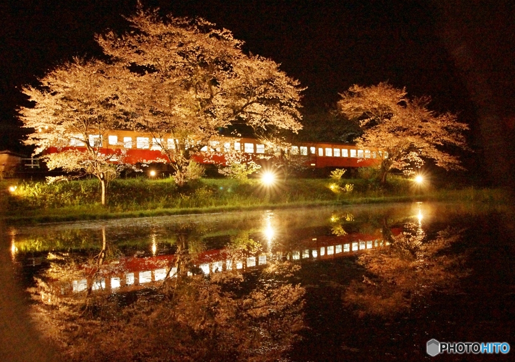 小湊鉄道　飯給の夜桜①～③の中の②