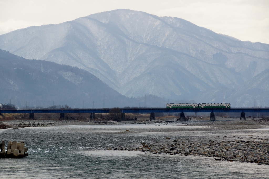 早春のほのぼの風景！