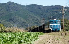 秩父鉄道シリーズ①