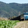 秩父鉄道シリーズ①
