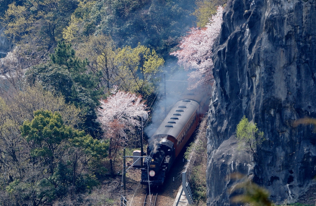 もうすぐ見れる大井川鉄道「かわね路」号②（完）