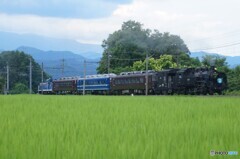 SL「大樹」！