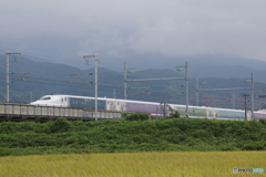 田園風景を走るディズニー新幹線！