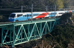 斬新カラーの伊豆急リゾート号