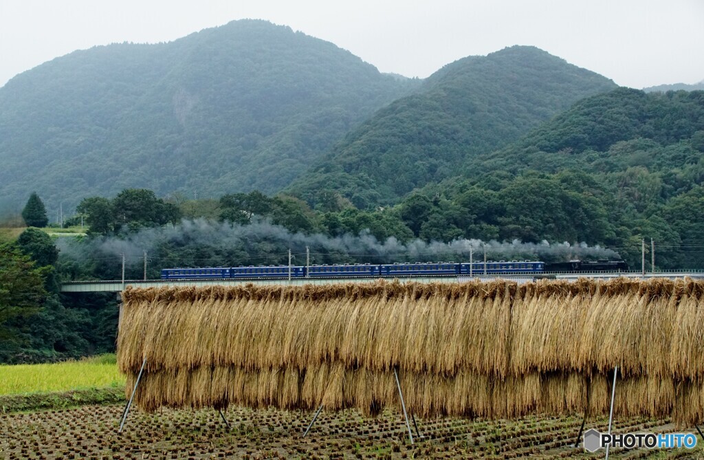 SL「みなかみ」と上州のハサガケ風景！