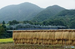SL「みなかみ」と上州のハサガケ風景！