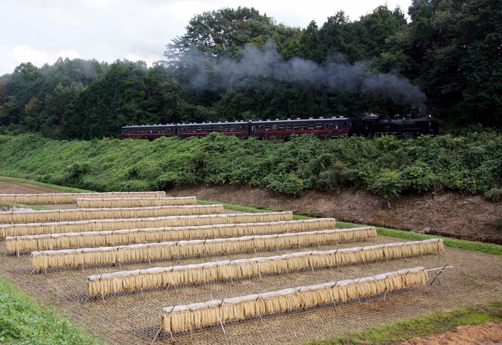 広大なはさがけ風景
