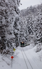 寒波による着雪が綺麗な沿線！①