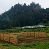 只見線　キハ40＆ハサガケ風景！