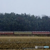 ひたちなか海浜鉄道の旧型キハ！②