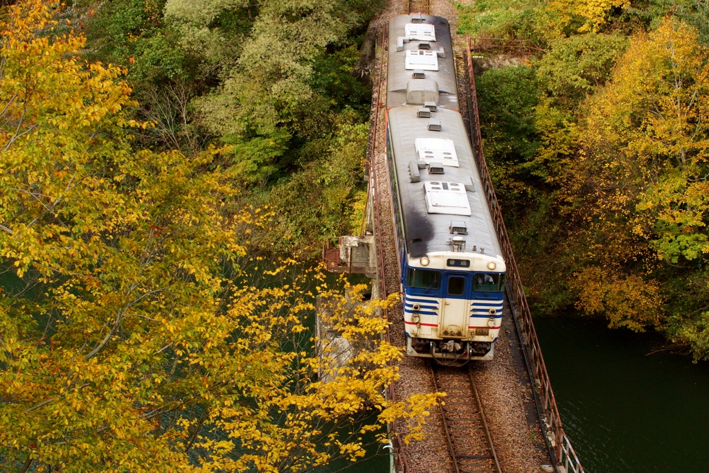 田子倉サミット黄葉