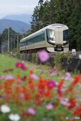 東武特急「リバティ」! 東武特急「リバティ」!